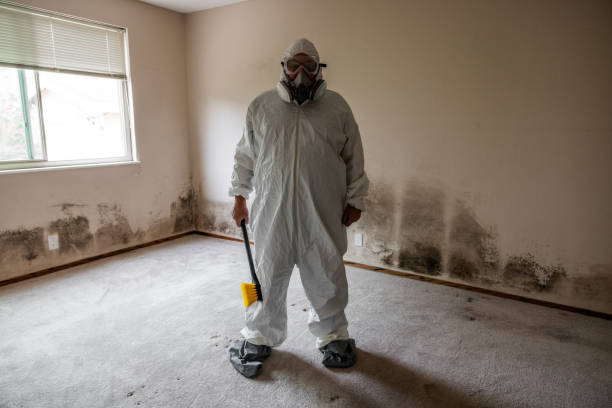 Mold Remediation for Rental Properties in Steilacoom, WA